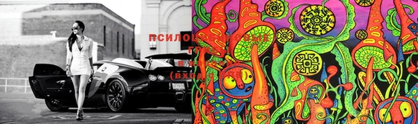 герыч Ладушкин