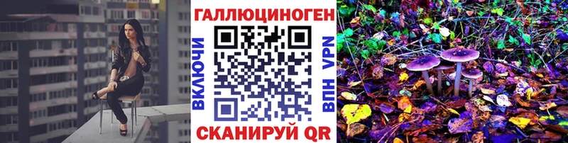 Купить где  Советск  Псилоцибиновые грибы Cubensis 